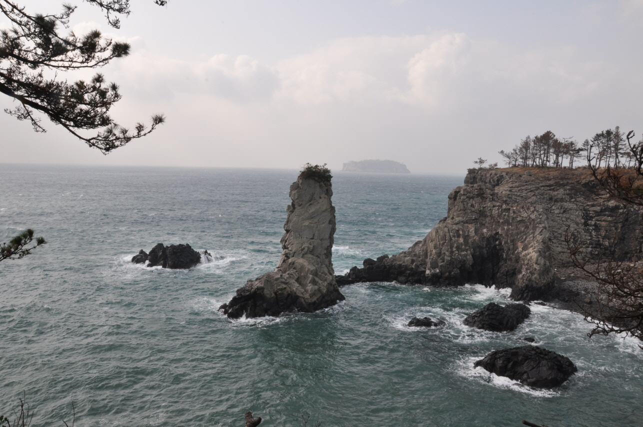 감귤 무료시식 및 판촉 홍보행사
